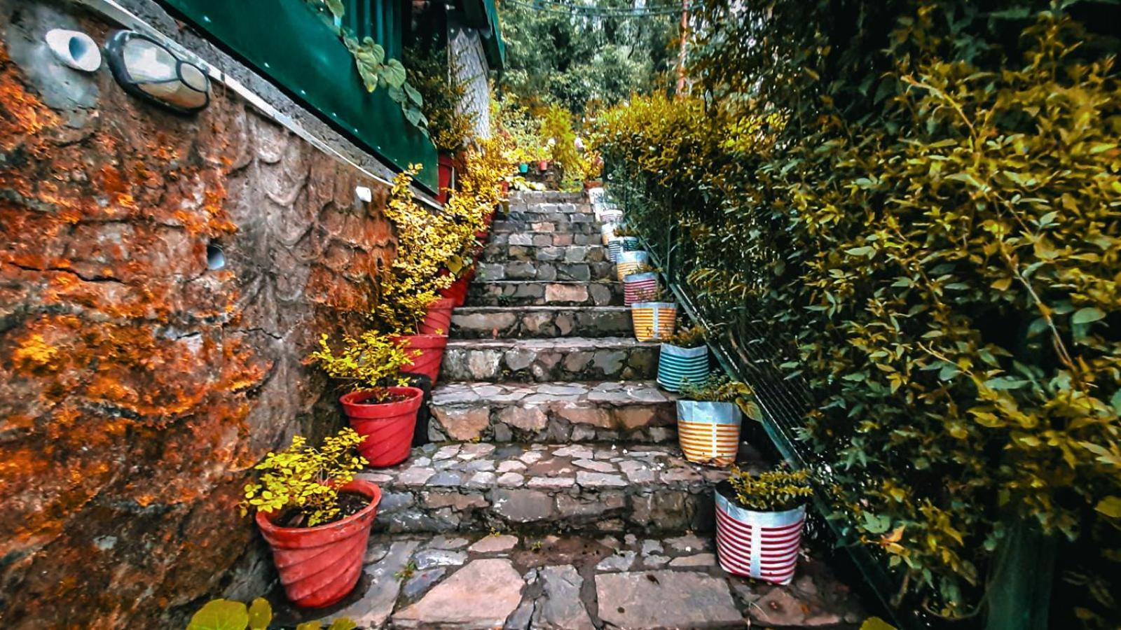 La Villa Bethany Mussoorie Εξωτερικό φωτογραφία