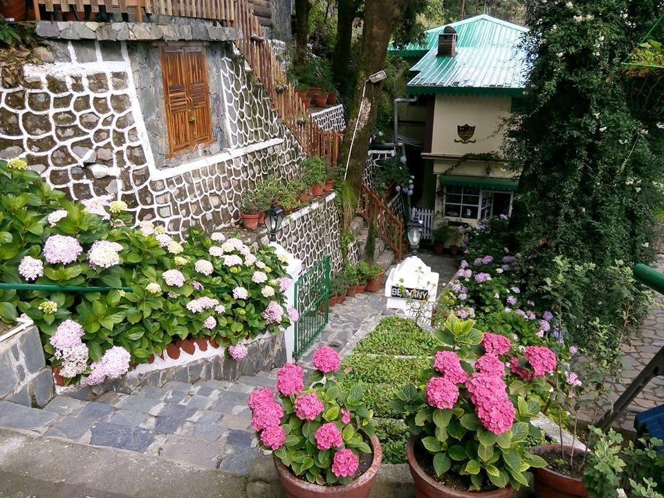 La Villa Bethany Mussoorie Εξωτερικό φωτογραφία